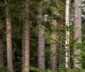 Продать Дачи, коттеджи, загородные дома пос. Ленинское, улица Живописная   