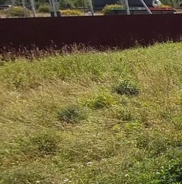 Продажа земли Ульяновка кп, Ульяновка пгт, 76 Продажа земли Ульяновка кп, Ульяновка пгт, 76