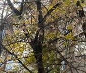 Продать Квартиры вторичка улица 1-я Бебеля  7А 