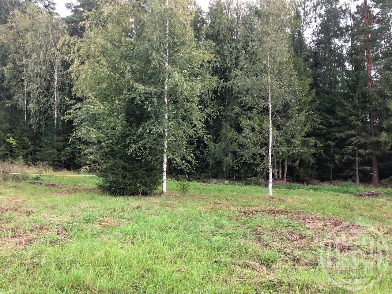Продажа земли Верховский ДНТ, улица Ломоносовская