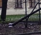 Продать Квартиры вторичка Старорусская улица, 5/3   