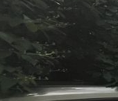 Продать Квартиры вторичка Малая Охта тер., улица Казанская, 10   