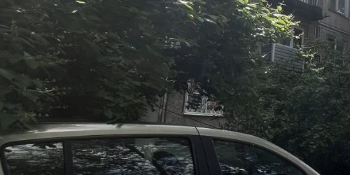 3-комн квартира Малая Охта тер., улица Казанская, 10