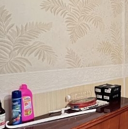 Аренда комнаты улица Партизана Германа, 33К3