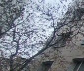 Продать Квартиры вторичка Стройковская улица, 4   