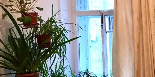 4-комн квартира улица Шамшева, 10Б