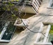 Сдать в аренду Квартиры вторичка Тепличный переулок, 7   