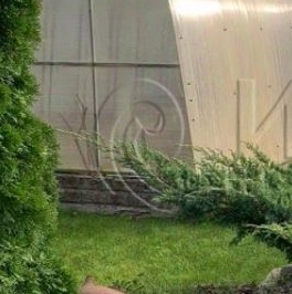 Продажа дома Приозерск, Лесная улица, 27Б