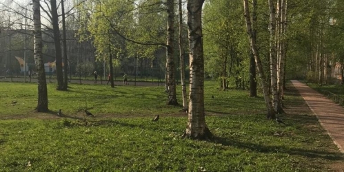 1-комн квартира Евдокима Огнева ул. ,  д. 10,  к. 1