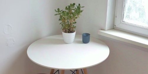 2-комн квартира улица Академика Павлова, 13