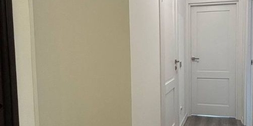 1-комн квартира Дальневосточный проспект, 19к1