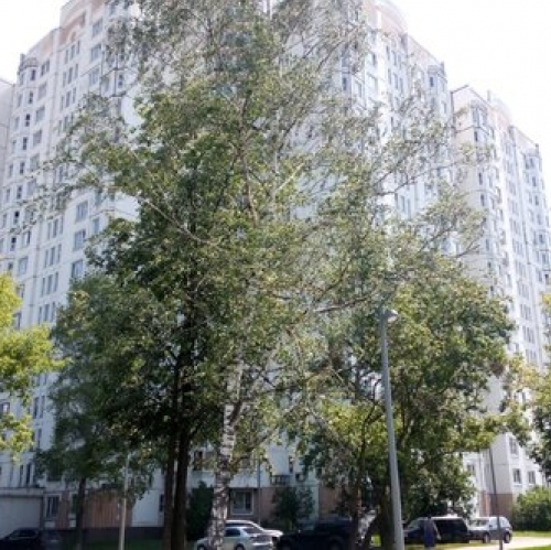4-комн квартира ул Плеханова,  д. 29,  к. 1