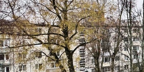 2-комн квартира улица Карпинского, 31К2