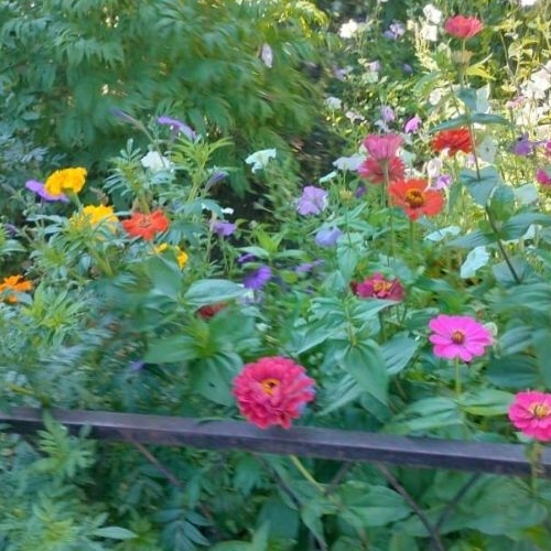 2-комн квартира пос. Бугры, Шоссейная улица, 10