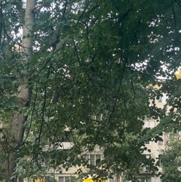 Продажа 2-комн квартиры на вторичном рынке улица Тельмана,  д. 40