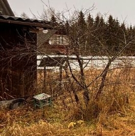 Продажа дома Красницы садоводческий массив, Генетика СНТ, д. 164 Продажа дома Красницы садоводческий массив, Генетика СНТ, д. 164