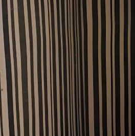 Аренда комнаты Малодетскосельский проспект, 32