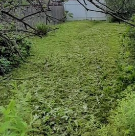 Продажа дома Новинка садоводческий массив, Виктория СНТ