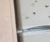 Сдать в аренду Квартиры вторичка Керамик мкр, Балашиха, улица Заводская  18 