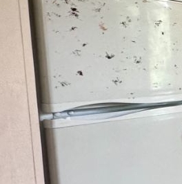 Аренда 1-комн квартиры на вторичном рынке Керамик мкр, Балашиха, улица Заводская,  д. 18