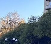 Продать Квартиры вторичка улица Орджоникидзе, 63   