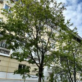 Продажа 1-комн квартиры на вторичном рынке ул Маршала Василевского,  д. 11,  к. 1