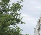 Продать Квартиры вторичка Химки, бульвар Весенний, 2   