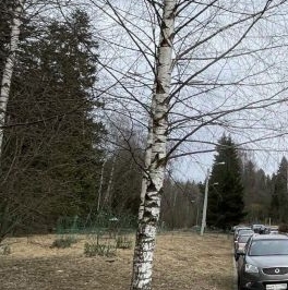 Продажа 2-комн квартиры на вторичном рынке Сергиев Посад, Лесная улица, 6