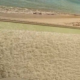 Продажа студии Мурино, бульвар Петровский, 7