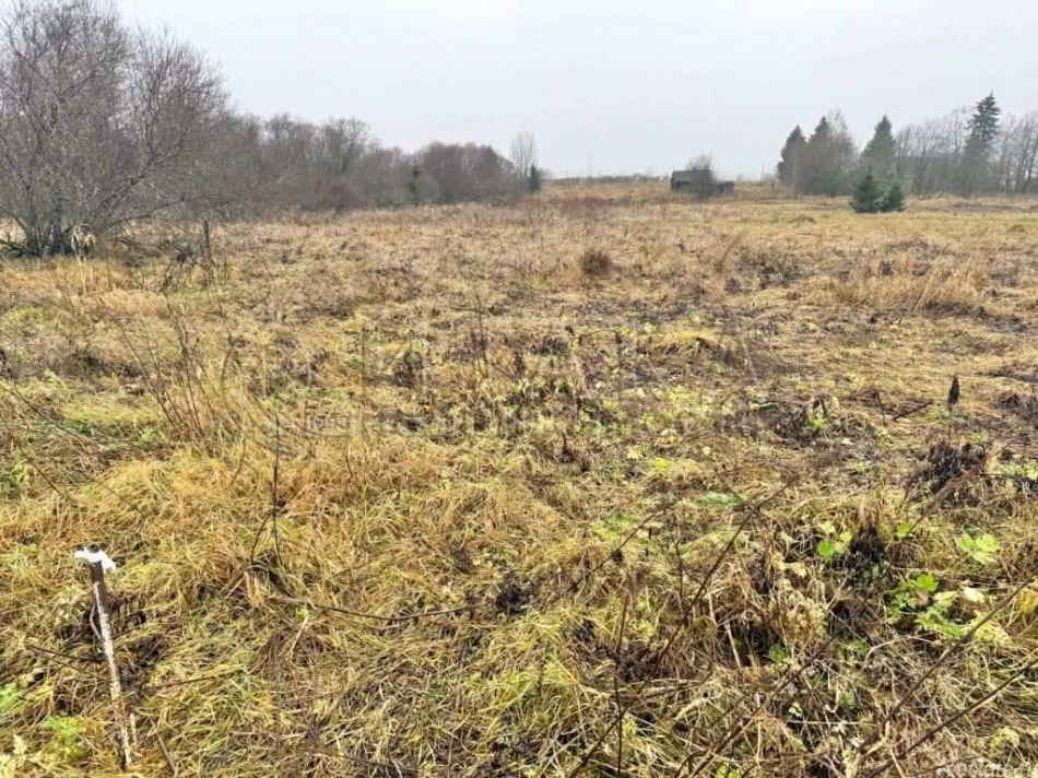 Продажа земли Озертицы, Озертицы д.