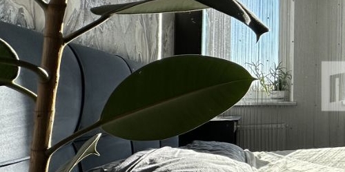 2-комн квартира Двинская улица, 8К3