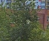 Продать Квартиры вторичка Всеволожск, улица Джанкойская, 1   