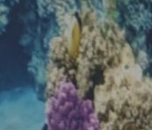 Сдать в аренду Квартиры вторичка Выборгское шоссе, 7К1   