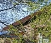 Продать Дачи, коттеджи, загородные дома д. Борисова Грива, улица Широкая, 4   