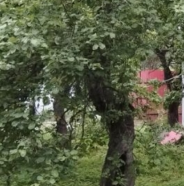 Продажа земли д. Лупполово, улица Зеленая, 22 Продажа земли д. Лупполово, улица Зеленая, 22