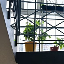 Продажа 3-комн квартиры на вторичном рынке пос. Шушары, Славянка тер., улица Ростовская, 4к8 Продажа 3-комн квартиры на вторичном рынке пос. Шушары, Славянка тер., улица Ростовская, 4к8