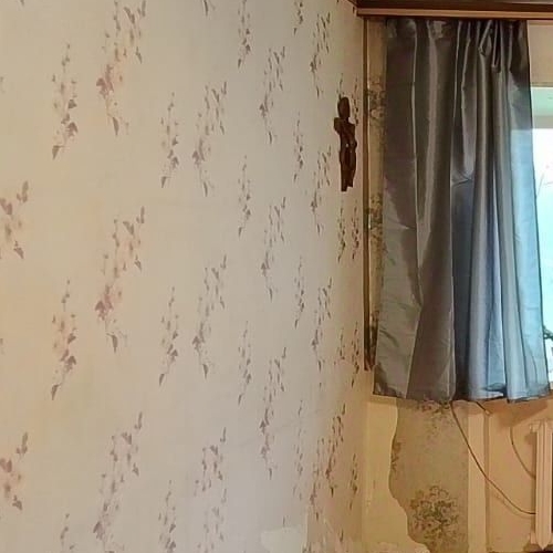 1-комн квартира пос. Сосново, улица Никитина, 16