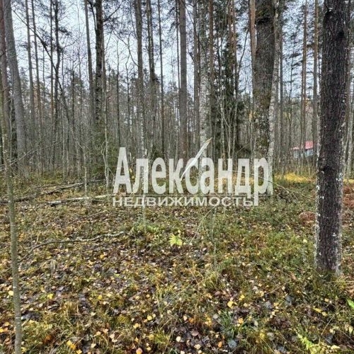 Земельный участок Садовые участки