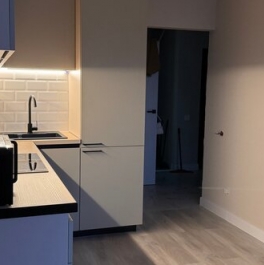 Аренда 1-комн квартиры на вторичном рынке Днепропетровская улица,  д. 7