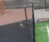 Продать Квартиры вторичка Кудрово г., проспект Строителей, 1к2   