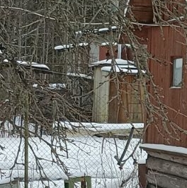 Продажа дома Кобрино садоводческий массив, Буревестник 3 СНТ, 6-я линия, 37 Продажа дома Кобрино садоводческий массив, Буревестник 3 СНТ, 6-я линия, 37