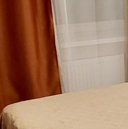 Аренда 1-комн квартиры на вторичном рынке Сестрорецк, улица Максима Горького, 2Ас2 Аренда 1-комн квартиры на вторичном рынке Сестрорецк, улица Максима Горького, 2Ас2