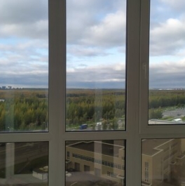 Аренда 1-комн квартиры на вторичном рынке Лыжный пер,  д. 8,  к. 1