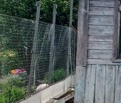 Продать Дачи, коттеджи, загородные дома Приладожское СНТ, 1229   