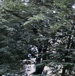 Продажа 2-комн квартиры на вторичном рынке пос. Развилка, 22 Продажа 2-комн квартиры на вторичном рынке пос. Развилка, 22