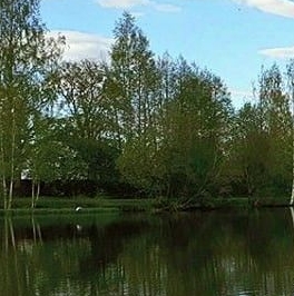 Продажа дома д. Вартемяги, улица Авиаторов, 1 Продажа дома д. Вартемяги, улица Авиаторов, 1