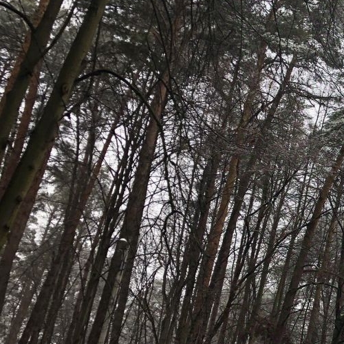 2-комн квартира пос. Барвиха, 8