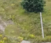 Продать Земельные участки, земля СОСН Солнечная долина тер.  31 