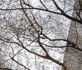 Продать Квартиры вторичка Голубинская улица, 9   