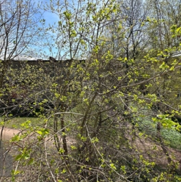 Продажа 1-комн квартиры на вторичном рынке улица Новосёлов,  д. 5